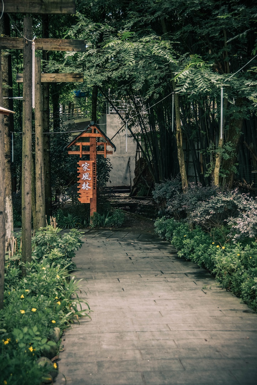 Bamboo forest path at Chengdu attraction