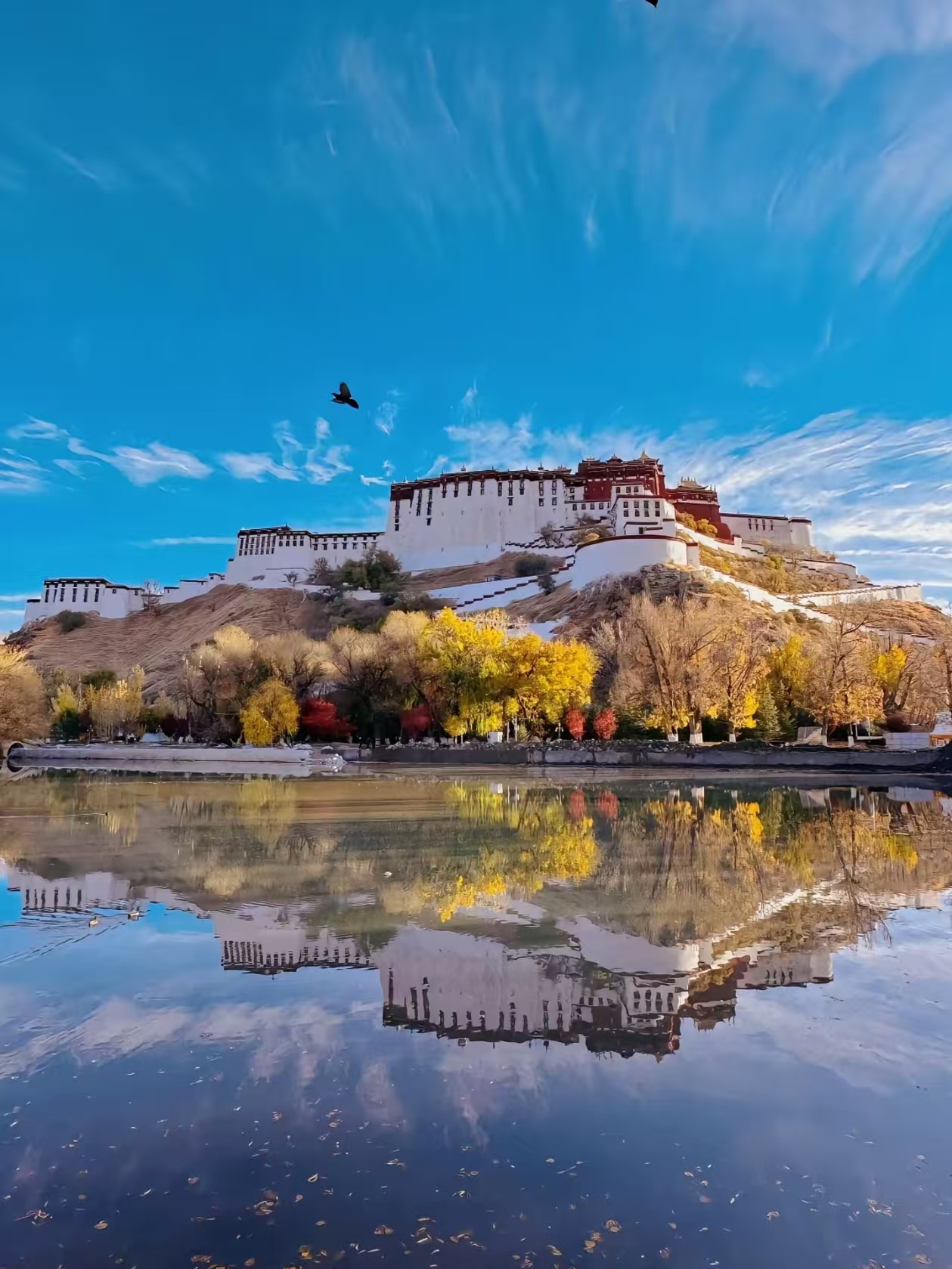 Lhasa Potala Palace Tibet